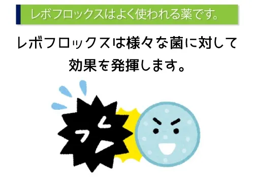 レボフロックスはよく使われる薬です。