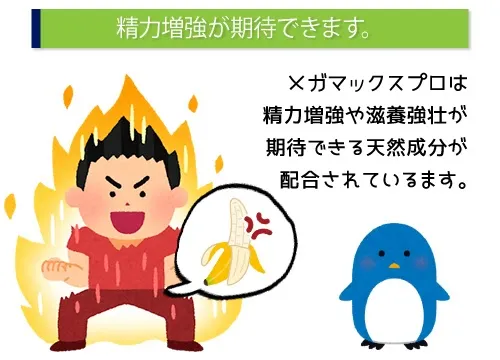 精力増強が期待できます。