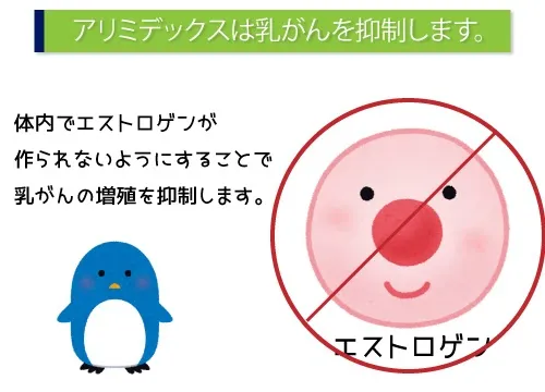 アリミデックスは乳がんを抑制します。