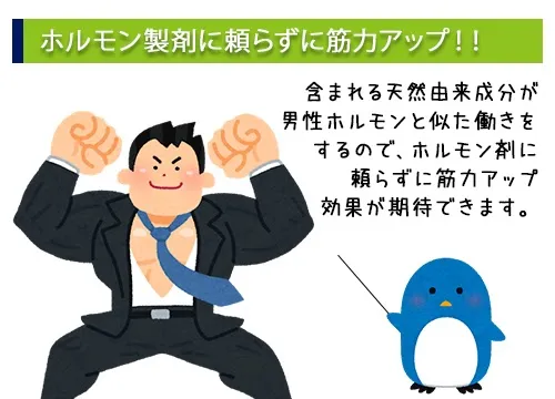 ホルモン製剤に頼らずに筋力アップ！