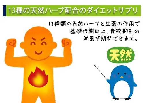 13種の天然ハーブ配合のダイエットサプリ
