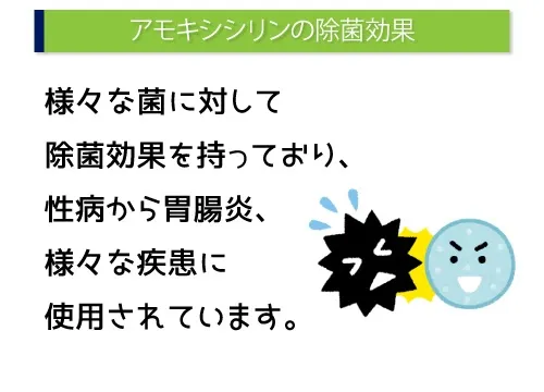 アモキシシリンの除菌効果