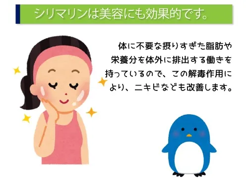 シリマリンは美容にも効果的です。