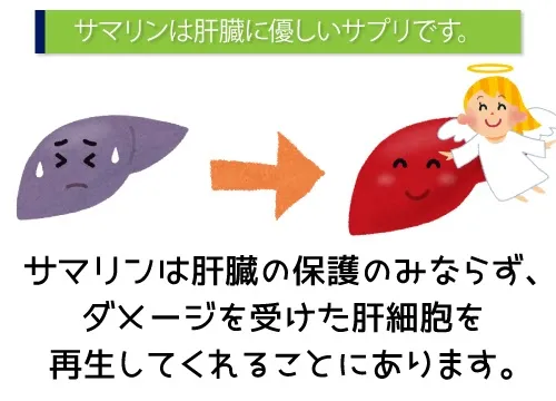 サマリンは肝臓に優しいサプリです。