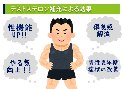 テストステロン補充による効果
